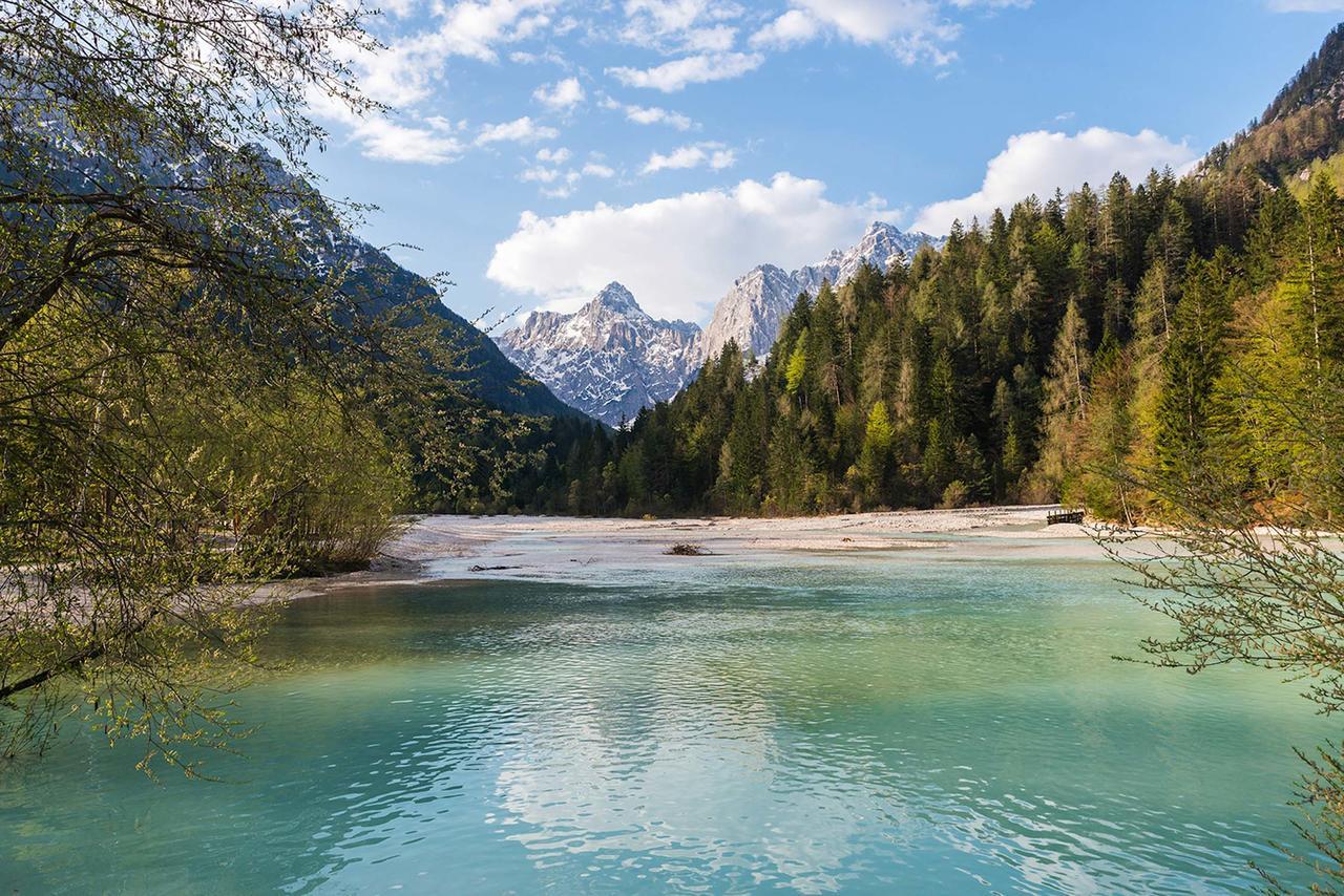 Villa Planina Kranjska Gora Zewnętrze zdjęcie